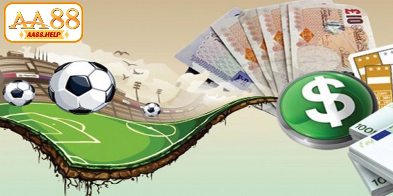 Cò cá độ bóng đá có nhiệm vụ kết nối, hướng dẫn và hỗ trợ người chơi đặt cược