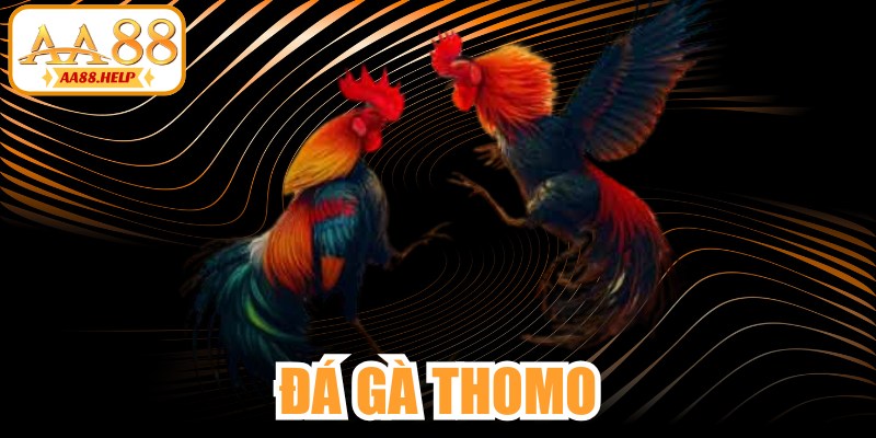 Đá Gà Thomo