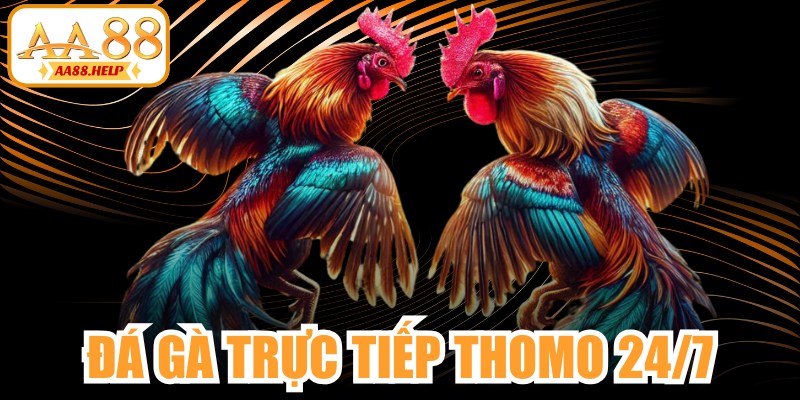 Đá Gà Trực Tiếp Thomo 24/7