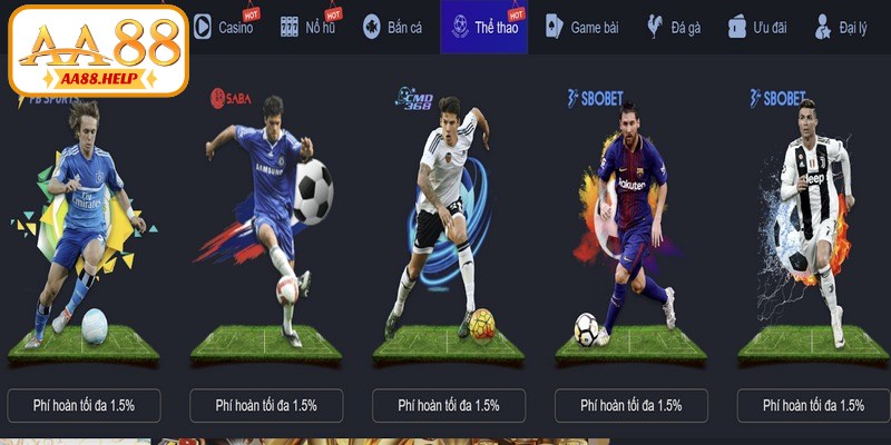 Giới thiệu đôi nét về chuyên mục thể thao giải trí cực hấp dẫn