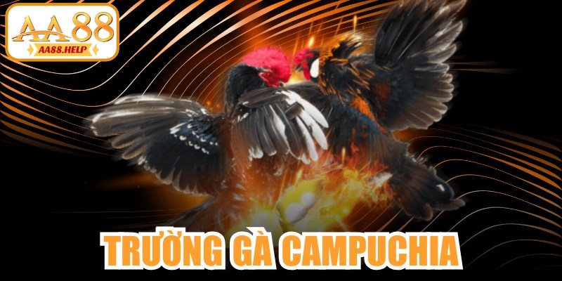 Trường Gà Campuchia